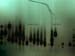NIN_ with_teeth1024x768-03